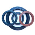 OEM/ODM High Temperature Resistance Mechanical Hydraulic Oil Seal